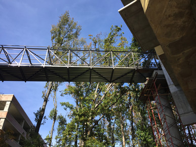 3f8029_0f2b4663eac84c26bf3b989c418c3592~mv2_d_3264_2448_s_4_2